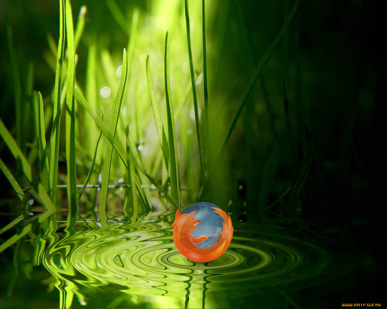 , mozilla, firefox